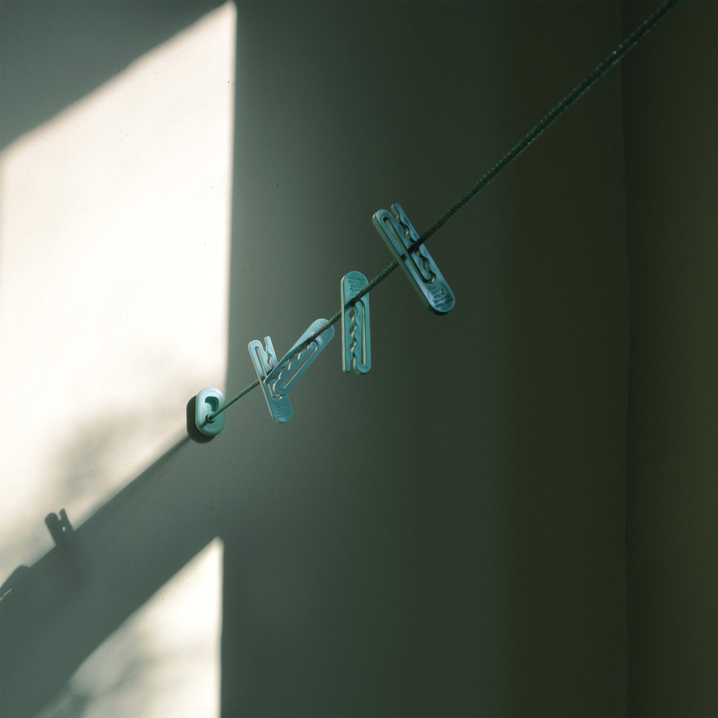 The LOOP clothesline with green NONA clothespins in the afternoon light
