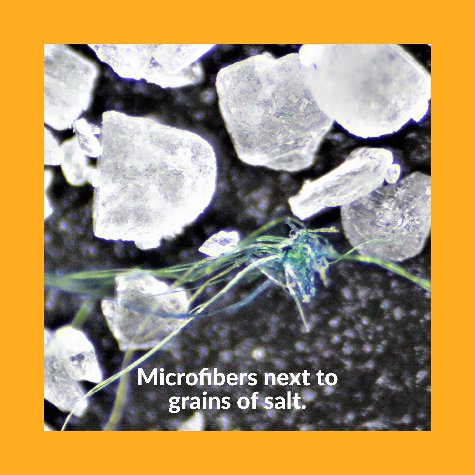 A microscopic view of microfibers next to grains of salt for scale