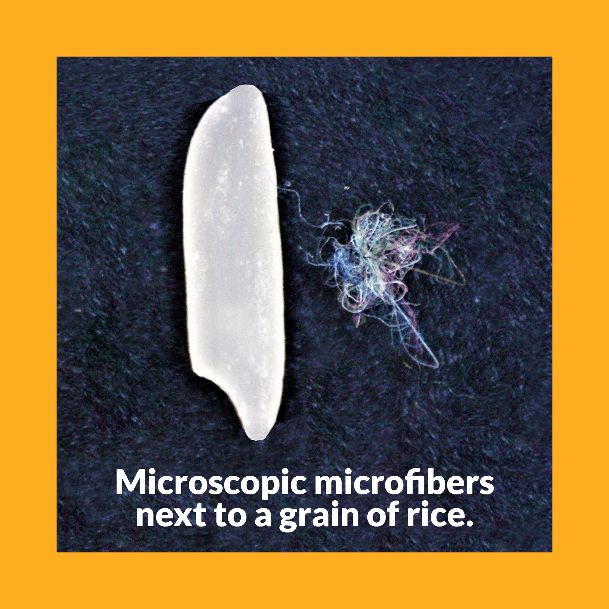 A microscopic ball of microfibers next to a grain of rice