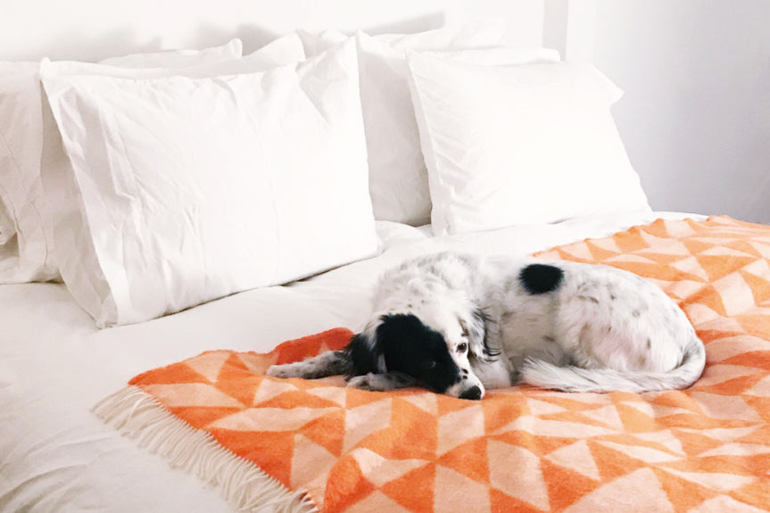 A dog rests on a bed with white sheets and an orange throw blanket