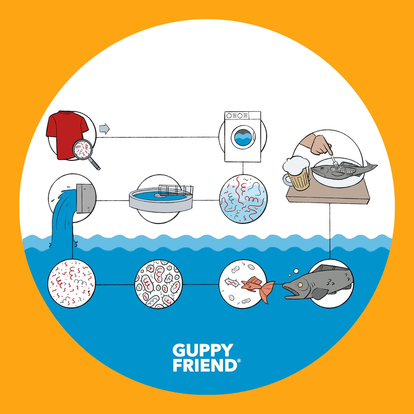 A diagram illustrating how microfiber shedding from laundry can end up in our food chain