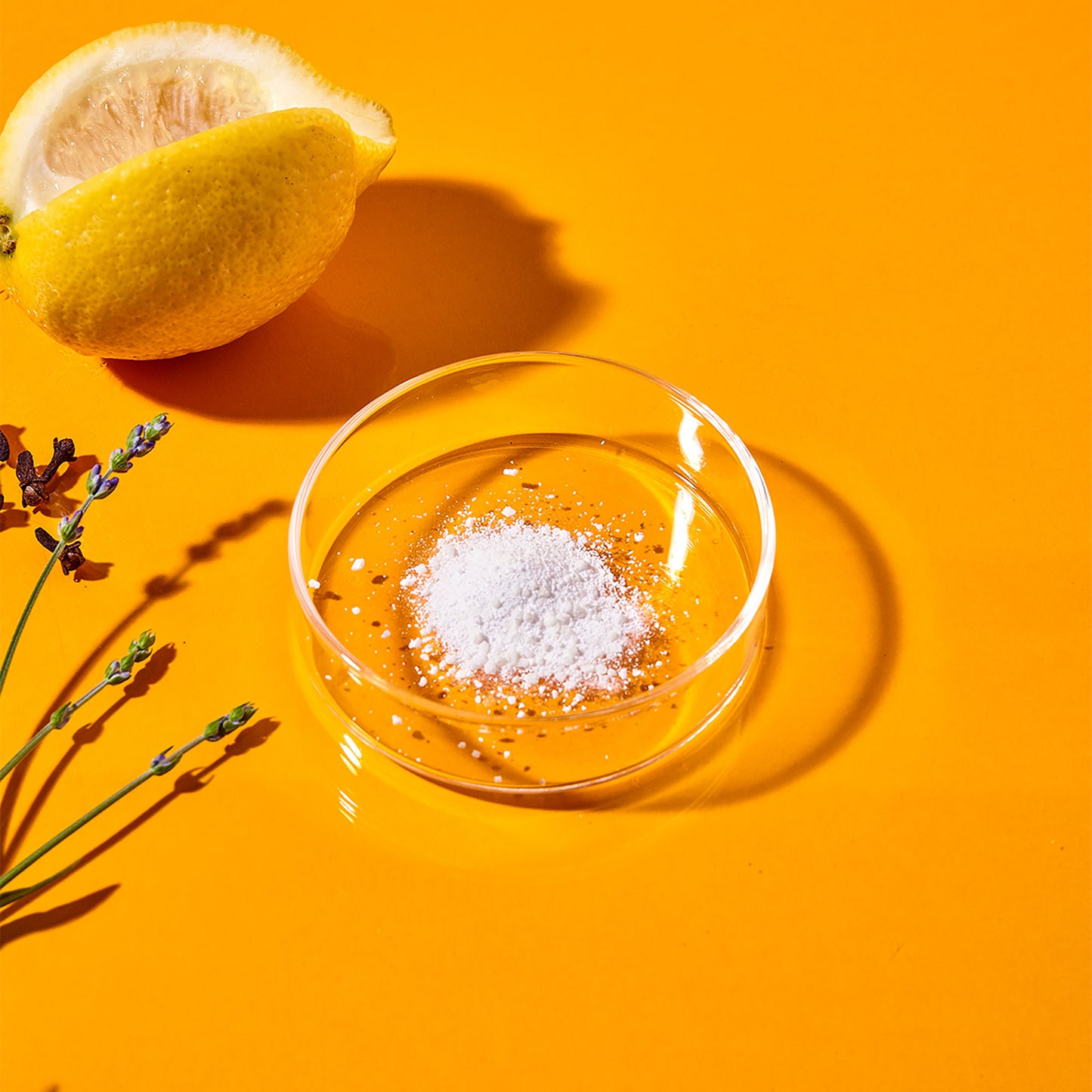 A dose of Celsious' Corewash laundry powder artfully displayed in a petri dish with a sliced lemon and flowers